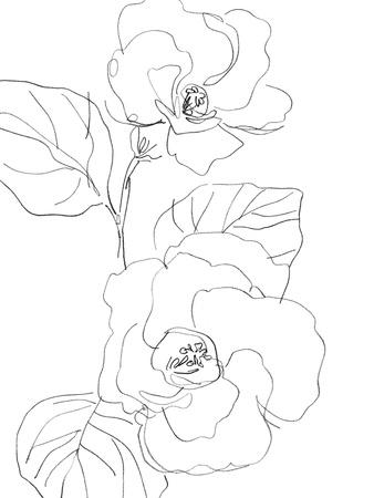 Sketched Floral - Captivate Giclee Print - Kristine Hegre | Art.com