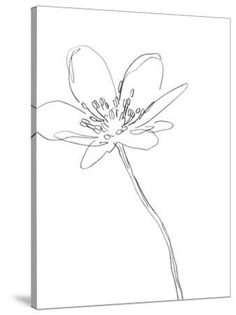 'Sketched Floral - Enthral' Stretched Canvas Print - Kristine Hegre