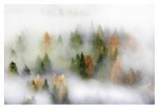 Autumn Dream-Kristjan Rems-Framed Giclee Print
