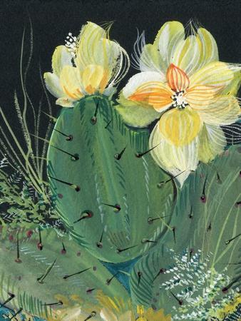 Desert Rose II' Art Print - Kristy Rice