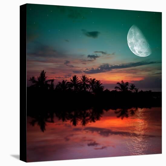 Stretched Canvas Print, , large