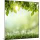 Premium Photographic Print