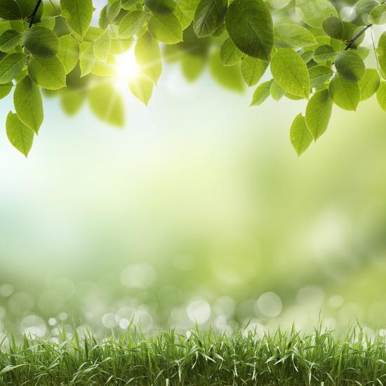 Spring or Summer Season Abstract Nature Background with Grass and Blue ...