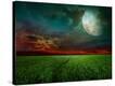 Stretched Canvas Print
