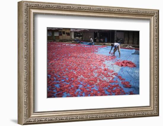 Krupuk (Kroepoek) Production, Bukittinggi, West Sumatra, Indonesia, Southeast Asia, Asia-Matthew Williams-Ellis-Framed Photographic Print