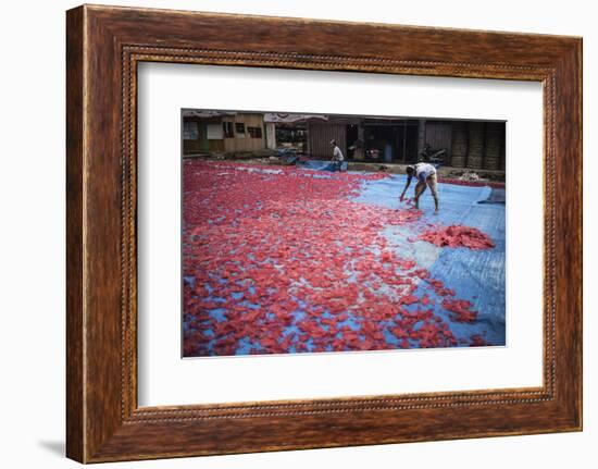 Krupuk (Kroepoek) Production, Bukittinggi, West Sumatra, Indonesia, Southeast Asia, Asia-Matthew Williams-Ellis-Framed Photographic Print