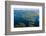 Kruzof Island, Alexander Archipelago, Southeast Alaska, USA-Mark A Johnson-Framed Photographic Print