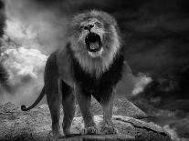 Lion's Roar-Krystina Wisniowska-Photographic Print