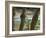 Kuang Si Falls, Laos-Gavriel Jecan-Framed Photographic Print