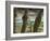 Kuang Si Falls, Laos-Gavriel Jecan-Framed Photographic Print