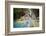 Kuang Si falls, Luang Prabang, Laos, Indochina, Southeast Asia-Jan Miracky-Framed Photographic Print