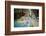 Kuang Si falls, Luang Prabang, Laos, Indochina, Southeast Asia-Jan Miracky-Framed Photographic Print