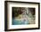 Kuang Si falls, Luang Prabang, Laos, Indochina, Southeast Asia-Jan Miracky-Framed Photographic Print