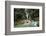 Kuang Si Waterfall, Luang Prabang, Laos, Indochina, Southeast Asia, Asia-Yadid Levy-Framed Photographic Print