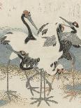 Cranes by the water, c.1816-Kubo Shunman-Giclee Print