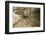 Kubutambahan, Temple Pura Meduwe Karang-Christoph Mohr-Framed Photographic Print