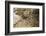 Kubutambahan, Temple Pura Meduwe Karang-Christoph Mohr-Framed Photographic Print