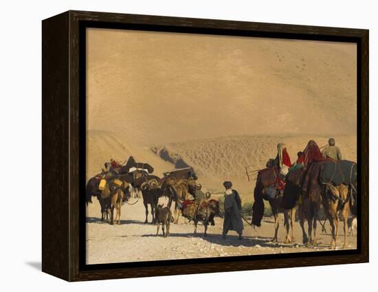 Kuchie Nomad Camel Train, Between Chakhcharan and Jam, Afghanistan, Asia-Jane Sweeney-Framed Premier Image Canvas