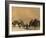 Kuchie Nomad Camel Train, Between Chakhcharan and Jam, Afghanistan, Asia-Jane Sweeney-Framed Photographic Print