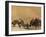 Kuchie Nomad Camel Train, Between Chakhcharan and Jam, Afghanistan, Asia-Jane Sweeney-Framed Photographic Print