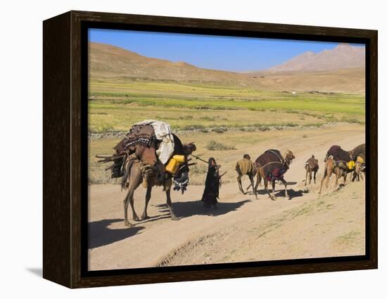 Kuchie Nomad Camel Train, Between Chakhcharan and Jam, Afghanistan-Jane Sweeney-Framed Premier Image Canvas