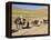 Kuchie Nomad Camel Train, Between Chakhcharan and Jam, Afghanistan-Jane Sweeney-Framed Premier Image Canvas