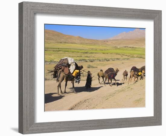 Kuchie Nomad Camel Train, Between Chakhcharan and Jam, Afghanistan-Jane Sweeney-Framed Photographic Print