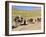 Kuchie Nomad Camel Train, Between Chakhcharan and Jam, Afghanistan-Jane Sweeney-Framed Photographic Print