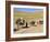 Kuchie Nomad Camel Train, Between Chakhcharan and Jam, Afghanistan-Jane Sweeney-Framed Photographic Print