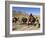 Kuchie Nomad Camel Train, Between Chakhcharan and Jam, Afghanistan-Jane Sweeney-Framed Photographic Print