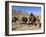 Kuchie Nomad Camel Train, Between Chakhcharan and Jam, Afghanistan-Jane Sweeney-Framed Photographic Print