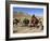 Kuchie Nomad Camel Train, Between Chakhcharan and Jam, Afghanistan-Jane Sweeney-Framed Photographic Print