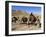 Kuchie Nomad Camel Train, Between Chakhcharan and Jam, Afghanistan-Jane Sweeney-Framed Photographic Print