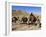 Kuchie Nomad Camel Train, Between Chakhcharan and Jam, Afghanistan-Jane Sweeney-Framed Photographic Print