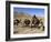 Kuchie Nomad Camel Train, Between Chakhcharan and Jam, Afghanistan-Jane Sweeney-Framed Photographic Print