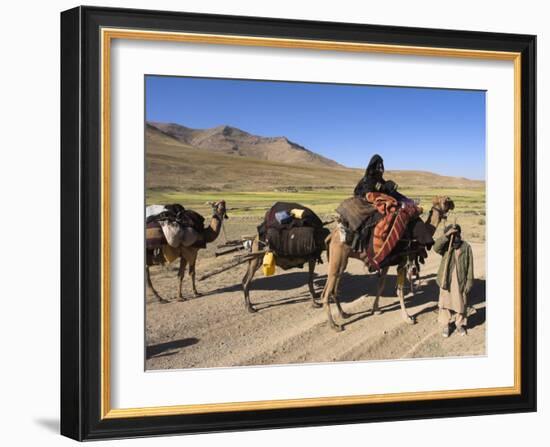 Kuchie Nomad Camel Train, Between Chakhcharan and Jam, Afghanistan-Jane Sweeney-Framed Photographic Print