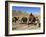 Kuchie Nomad Camel Train, Between Chakhcharan and Jam, Afghanistan-Jane Sweeney-Framed Photographic Print