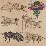 Bees, Beekeeping, and Honey-KUCO-Art Print