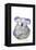 Kuddly Koalas-Marc Allante-Framed Premier Image Canvas