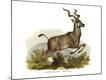 Premium Giclee Print