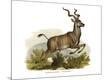 Giclee Print