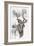 Kudu-Barbara Keith-Framed Giclee Print