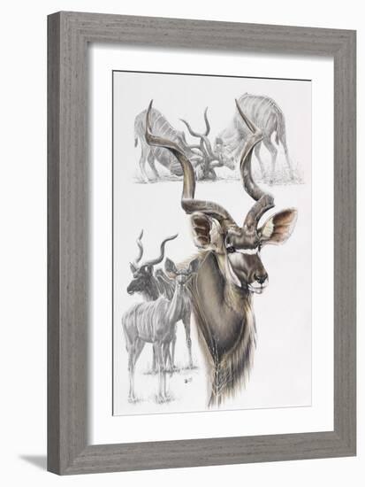 Kudu-Barbara Keith-Framed Giclee Print