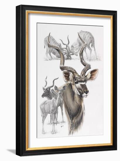 Kudu-Barbara Keith-Framed Giclee Print