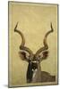 Kudu-James W Johnson-Mounted Giclee Print