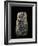 Kudurru, Babylonian, 978-934 BC-null-Framed Giclee Print