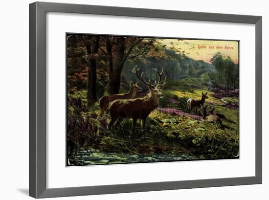 Künstler Gruß Aus Dem Harze, Rehe Und Hirsche Im Wald-null-Framed Giclee Print