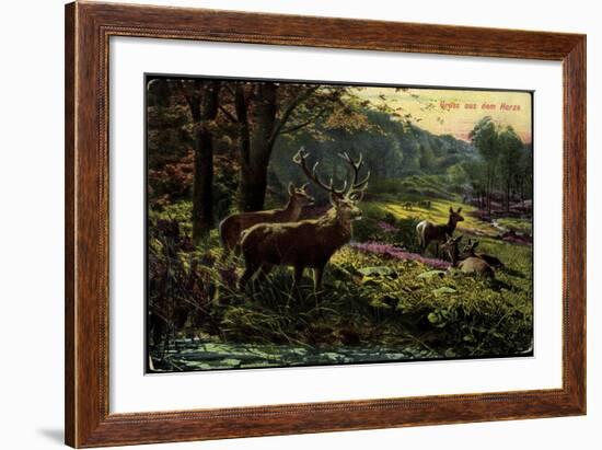 Künstler Gruß Aus Dem Harze, Rehe Und Hirsche Im Wald-null-Framed Giclee Print