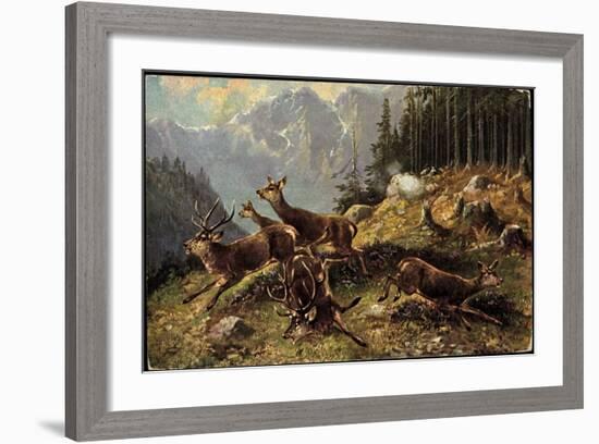 Künstler Hirsche Am Waldrand, Aufgeschreckt Und Fliehen-null-Framed Giclee Print