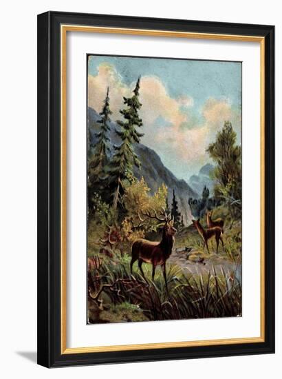 Künstler Hirsche Im Wald, Trinken Am Wasserlauf, Gebirge-null-Framed Giclee Print